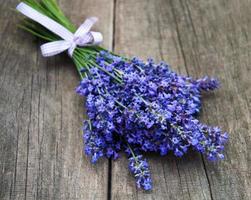 ramo de lavanda foto