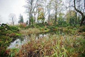 um pequeno lago de jardim com arbustos e vegetação exuberante foto