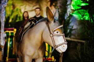 presépio de natal muito grande. burro foto