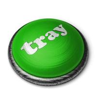 palavra de bandeja no botão verde isolado no branco foto