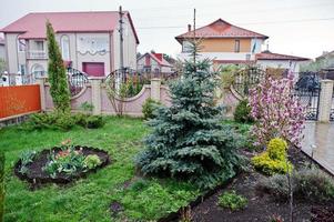 flores e árvore de magnólia com árvore de natal na frente da casa, jardim da frente. projeto paisagístico do edifício de fachada. foto