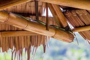 cobra no telhado de bambu em koh phangan na tailândia. foto