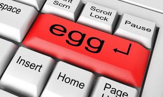 palavra ovo no teclado branco foto