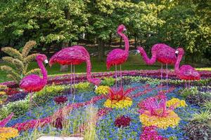 figura de flamingos rosa em pé na exposição de flores coloridas no jardim foto