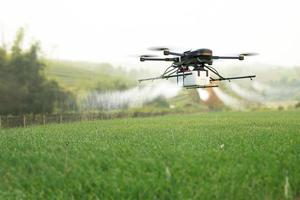 drone pulverizando pesticidas no campo de trigo. foto