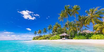 paraíso tropical da praia do hotel resort. natureza incrível, costa, costa. férias de verão, aventura de viagem. paisagem de férias de luxo, lagoa oceânica deslumbrante, palmeiras de céu azul. relaxar idílico inspirar praia