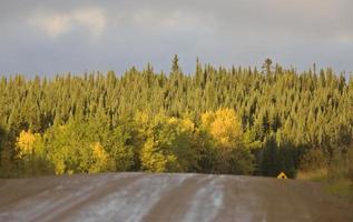 estrada do norte de manitoba no outono foto