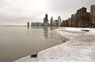 chicago centro da cidade foto