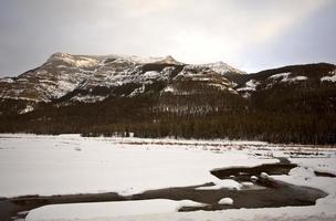 parque de yellowstone wyoming inverno neve refrigerante butte creek foto