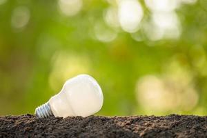 conceito de crescimento ou economia de energia. pessoas plantando lâmpada branca no solo no jardim verde ou borrão de natureza foto