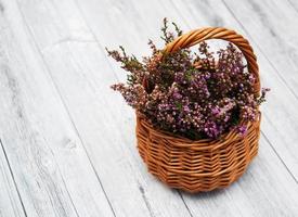 flores de urze em uma cesta foto