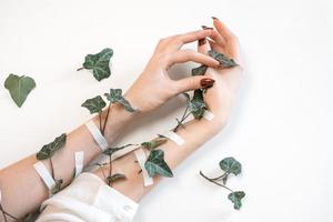 mãos de mulheres bonitas na moda em fundo branco e folhas verdes, cuidados com a pele das mãos foto