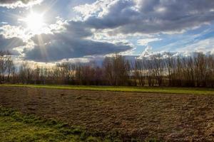 campo arado, pronto para o plantio. cinturão florestal protegendo o campo do vento. mola. raios de sol em um céu nublado foto