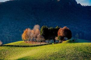 colina com árvores no outono foto