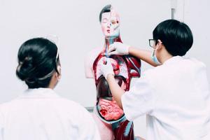 médico masculino fazendo apresentação manequim de órgãos internos do corpo humano para estudante de medicina da escola foto