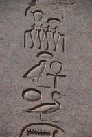 hieróglifo em uma parede do Egito foto