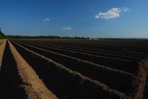 campo arado com céu azul foto