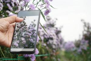 usando um telefone celular para tirar fotos de flores