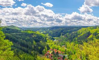 vista panorâmica aérea da floresta slavkov com pequena aldeia foto