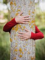 mãos de mulher abraçando uma árvore foto