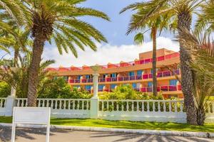 palmeiras coqueiros e resorts ilha espanhola canário tenerife áfrica. foto