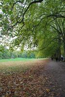 caminho a pé em um parque de londres durante o outono. folhas no chão foto