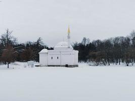 dia de inverno em árvores de neve de catherine park foto