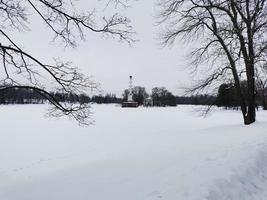 dia de inverno em árvores de neve de catherine park foto