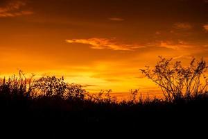 bela silhueta do sol com céu dourado foto