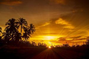 lindo céu noturno do trópico com céu laranja foto