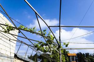 estrutura de telhado de tração ao ar livre dia primavera ensolarado foto