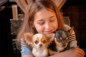 adolescente com dois cães chihuahua. menina com cachorro branco e preto. foto