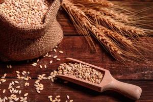 grãos de trigo em sacos e orelhas foto