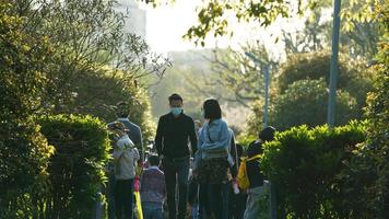 a vista da primavera com as folhas frescas crescendo nas árvores na primavera foto