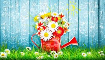 buquê de flores silvestres coloridas em um regador. conceito de primavera e jardinagem. foto