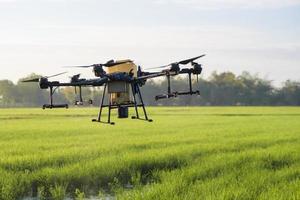 drone agrícola voando e pulverizando fertilizantes e pesticidas sobre terras agrícolas, inovações de alta tecnologia e agricultura inteligente foto