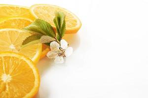 fatias de laranja e limão isoladas em um fundo branco foto