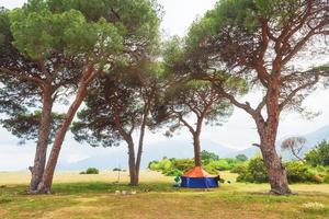 bela paisagem com árvores no gramado em um fundo de montanhas foto