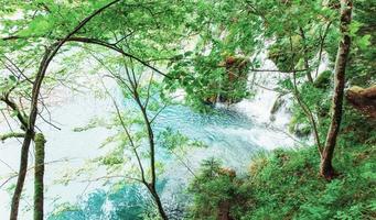 bela cachoeira na floresta verde de verão. foto