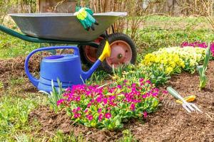 canteiro de flores e jardineiro equipamento carrinho de mão carrinho de jardim regador ancinho de jardim no jardim no dia de verão. ferramentas de trabalhador agrícola prontas para plantar mudas ou flores. conceito de jardinagem e agricultura foto