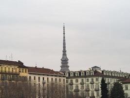 toupeira antonelliana em turin foto