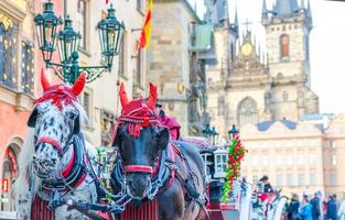 praga, república checa, 13 de maio de 2019 carruagem de cavalos para entretenimento de turistas na praça da cidade velha foto