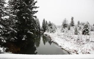 dia de inverno nas colinas de cipreste de saskatchewan foto