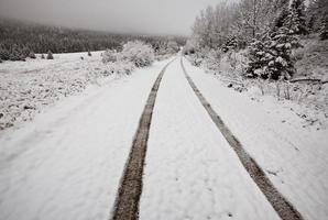 dia de inverno nas colinas de cipreste de saskatchewan foto