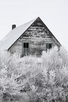 casa de fazenda abandonada no inverno foto