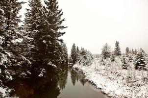 dia de inverno nas colinas de cipreste de saskatchewan foto