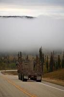 neblina no chão em alberta cênica foto