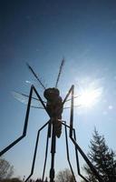 estátua gigante de musquito em komarno, manitoba foto