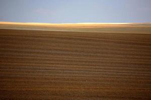 sombra de nuvem sobre um campo de restolho saskatchewan foto