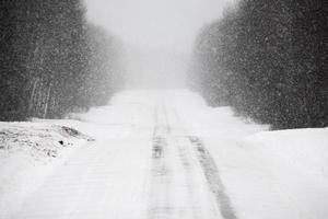 estrada da floresta no inverno foto